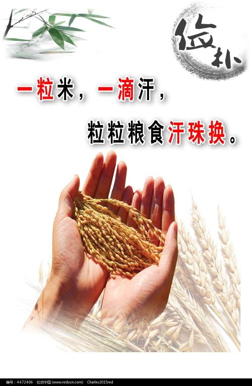 南达科他大学建筑学文凭证书